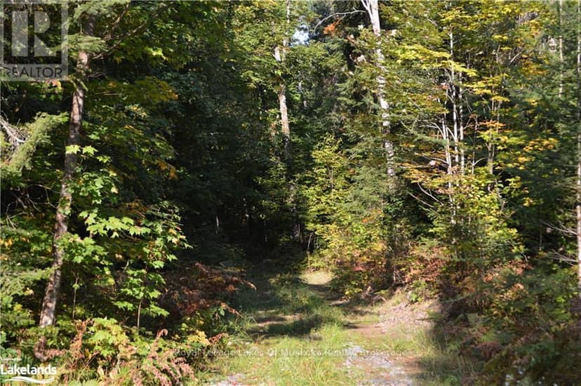 Lot 20 Concession 5 Road, Huntsville, photo 4
