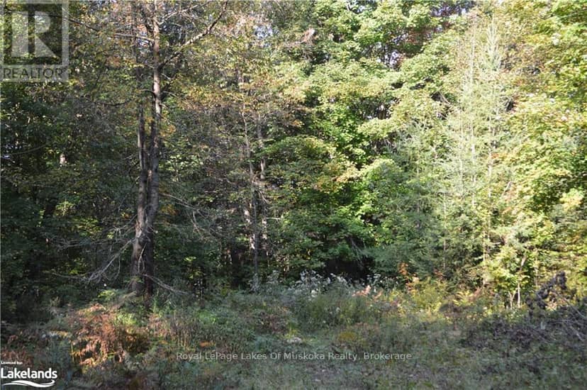 Lot 20 Concession 5 Road, Huntsville, photo 5