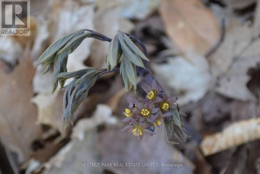 000 Crossen Road — photo 34 of 40