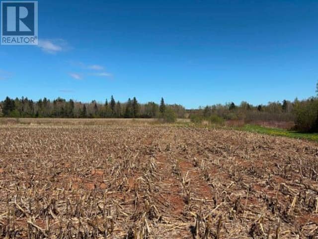37196 Western Road, 37196 Rte 2, Carleton, photo 2