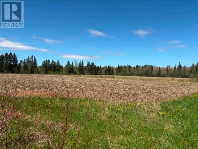 37196 Western Road, 37196 Rte 2, Carleton, photo 4