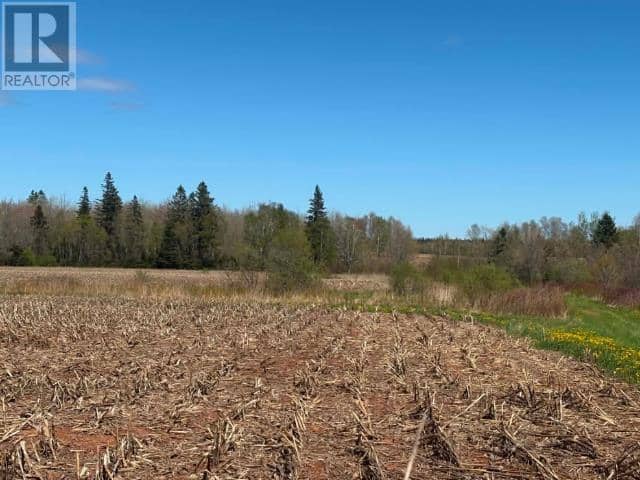 37196 Western Road, 37196 Rte 2, Carleton, photo 5