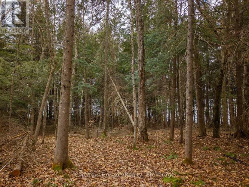 South Lot 18863 Kawagama Lake North Shore — photo 12 of 23