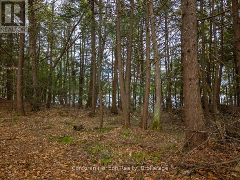 South Lot 18863 Kawagama Lake North Shore — photo 13 of 23