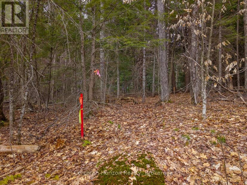 North Lot 18863 Kawagama Lake North Shore Drive — photo 24 of 31