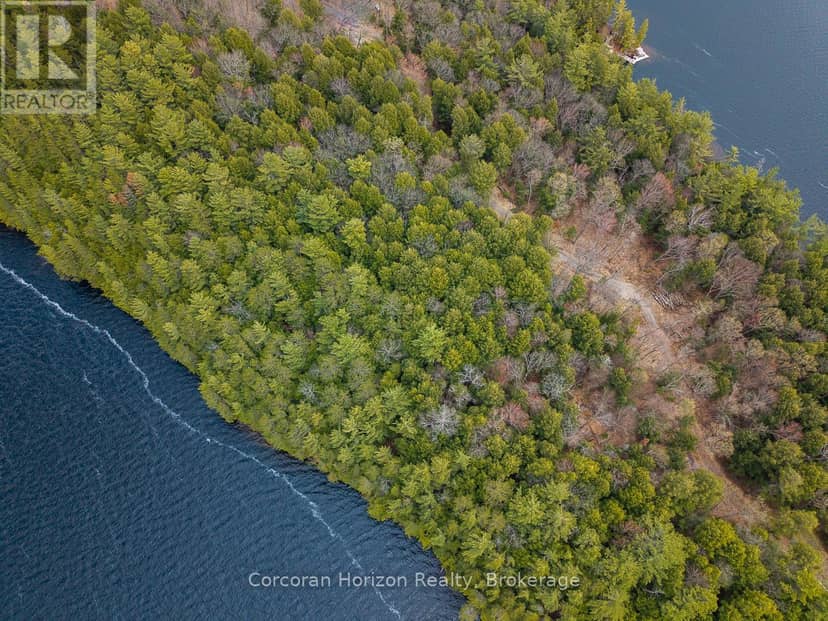 North Lot 18863 Kawagama Lake North Shore Drive — photo 4 of 31