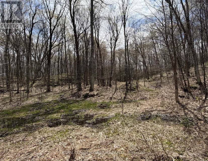1170 Peter Road — photo 36 of 40