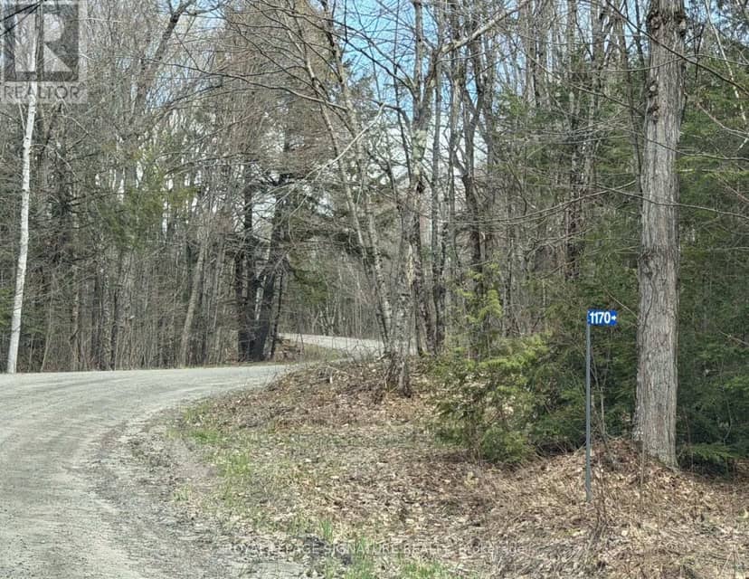 1170 Peter Road — photo 37 of 40
