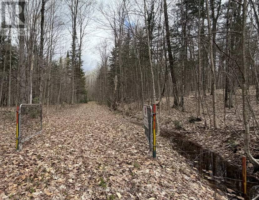1170 Peter Road — photo 39 of 40