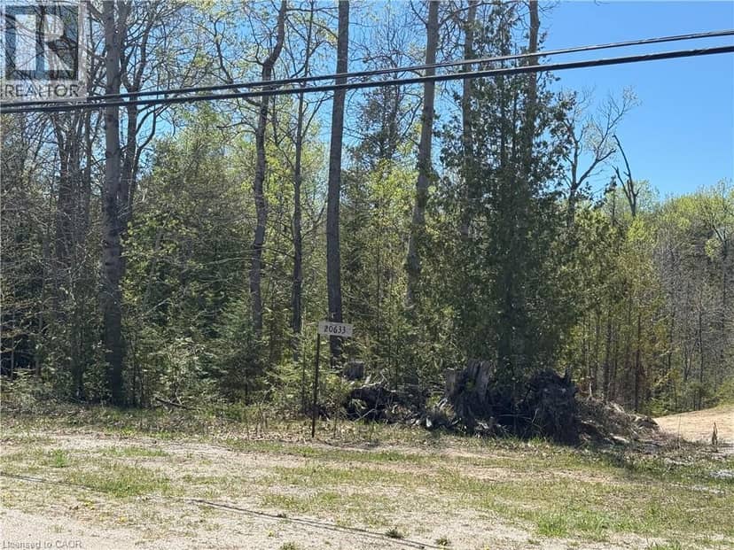 0 Highway 540, Silver Water, photo 5