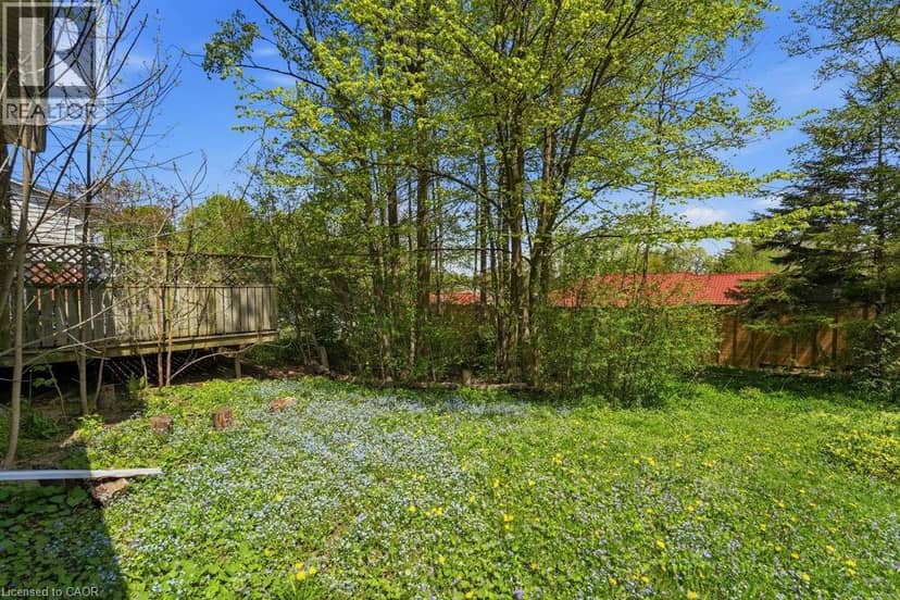 46 BIRCHCLIFF Avenue — photo 8 of 11