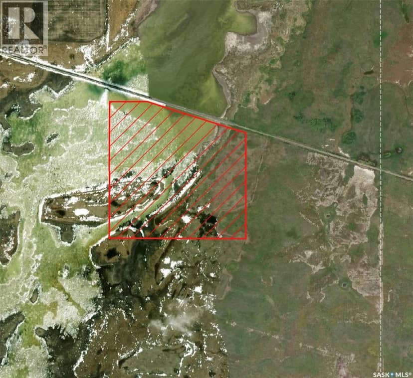 Dafoe Area Land — photo 2 of 5