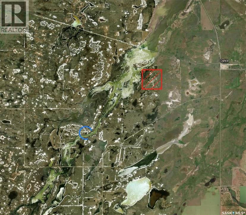Dafoe Area Land — photo 3 of 5