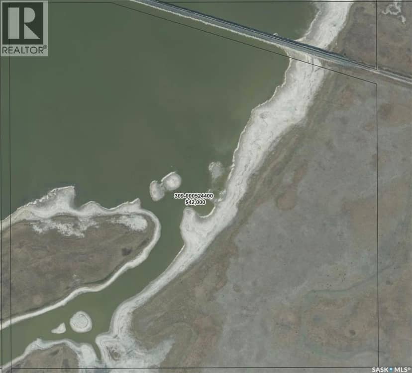 Dafoe Area Land — photo 4 of 5