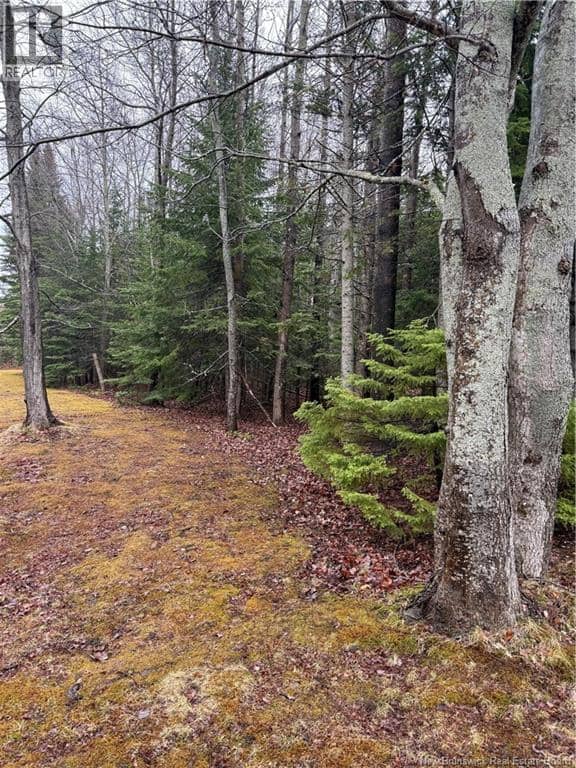 LOT 98-2 Dundas Road, Grande-Digue, photo 2