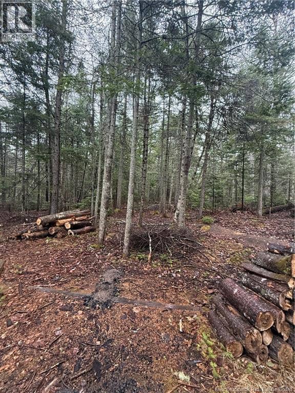 LOT 98-2 Dundas Road, Grande-Digue, photo 5