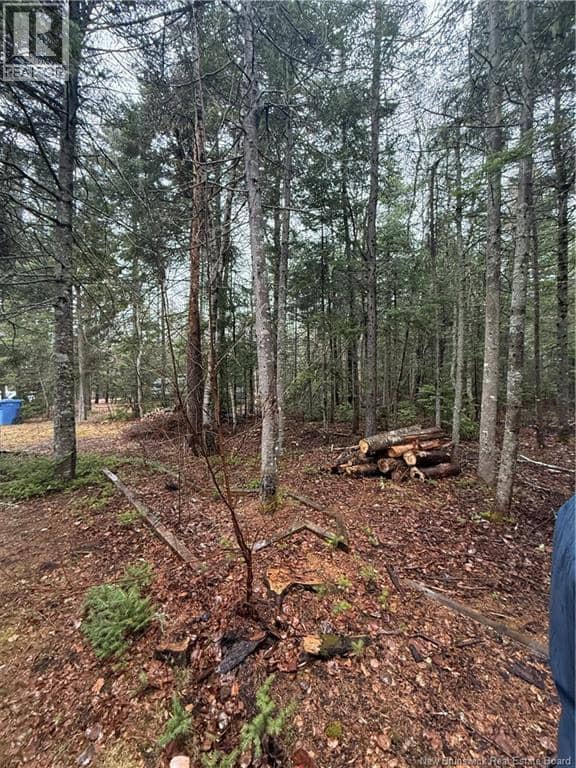 LOT 98-2 Dundas Road, Grande-Digue, photo 7