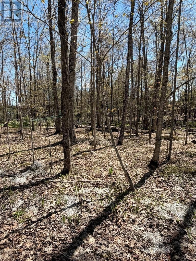974 Ice Lake Drive, Gore Bay, photo 7