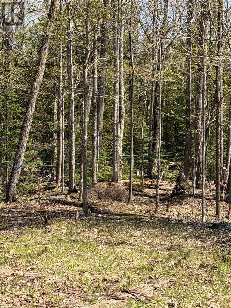 974 Ice Lake Drive, Gore Bay, photo 8