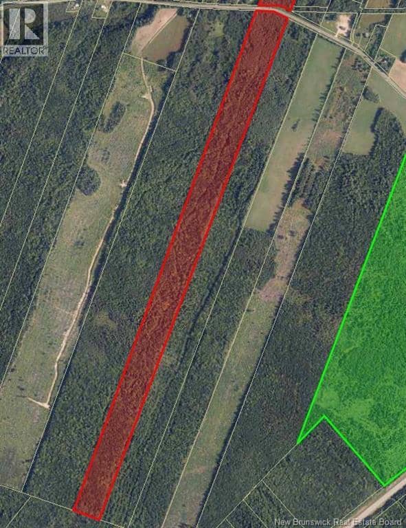 55.2 Acres Williamstown Road — photo 1 of 2