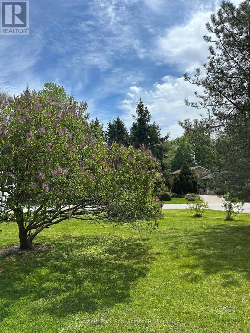 13 Pollard Drive — photo 14 of 15