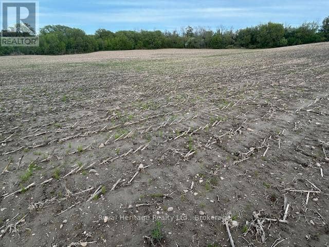 2299 Baseline Road W — photo 2 of 7