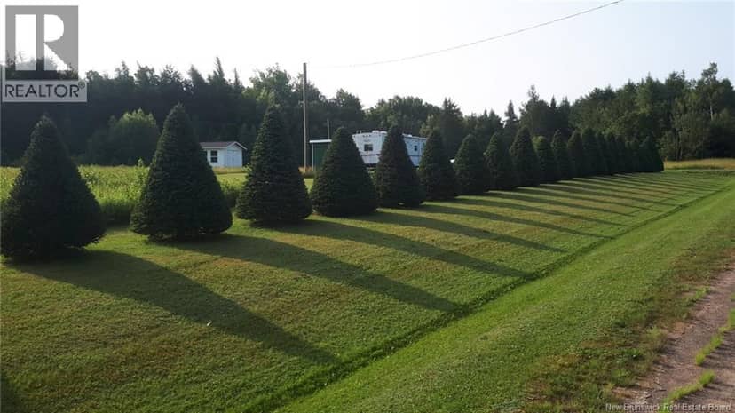 Lot Angel Road — photo 14 of 15