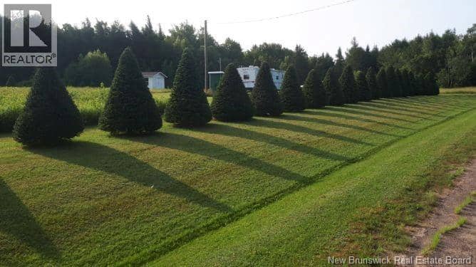 Lot Angel Road — photo 15 of 15