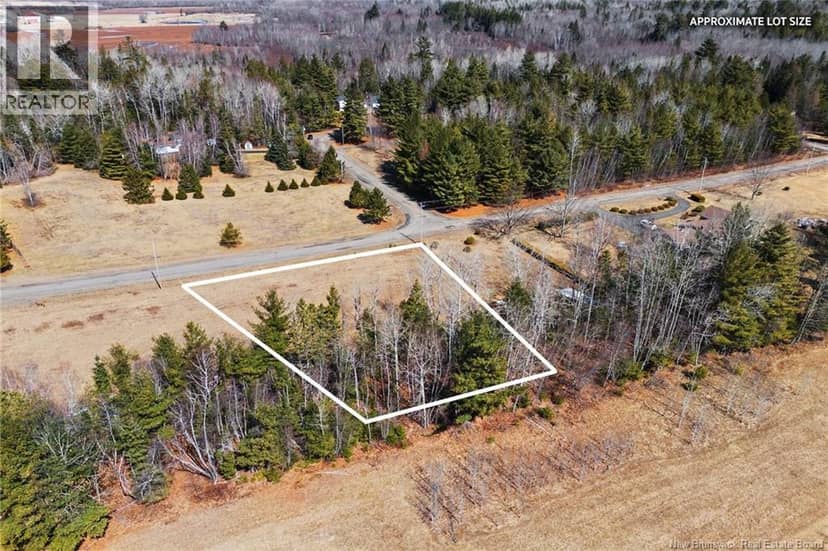 LOT 1 LOWLANDS Street — photo 4 of 17