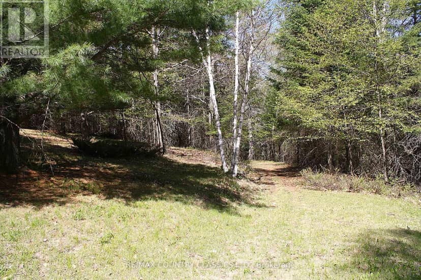 Listing 29785536 — photo 10 of 29