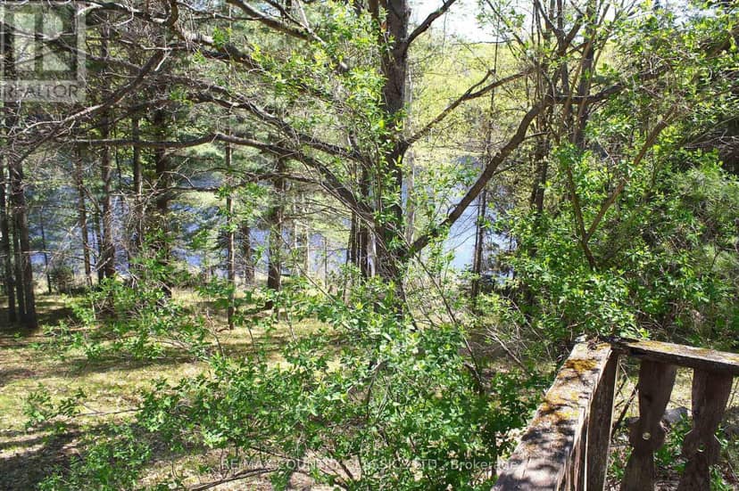 Listing 29785536 — photo 8 of 29