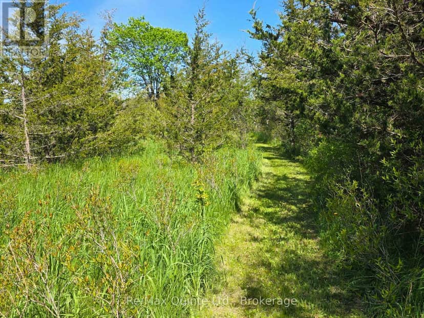 Across From 3904 Cty Rd 49 — photo 11 of 32