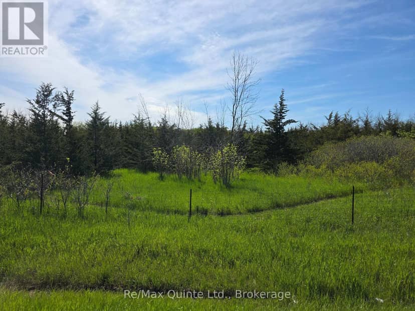 Across From 3904 Cty Rd 49 — photo 13 of 32