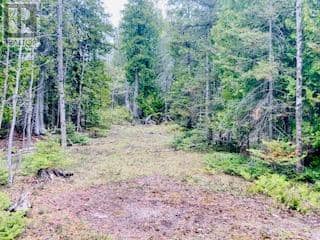 Lot 43 Warner Bay Road — photo 4 of 18