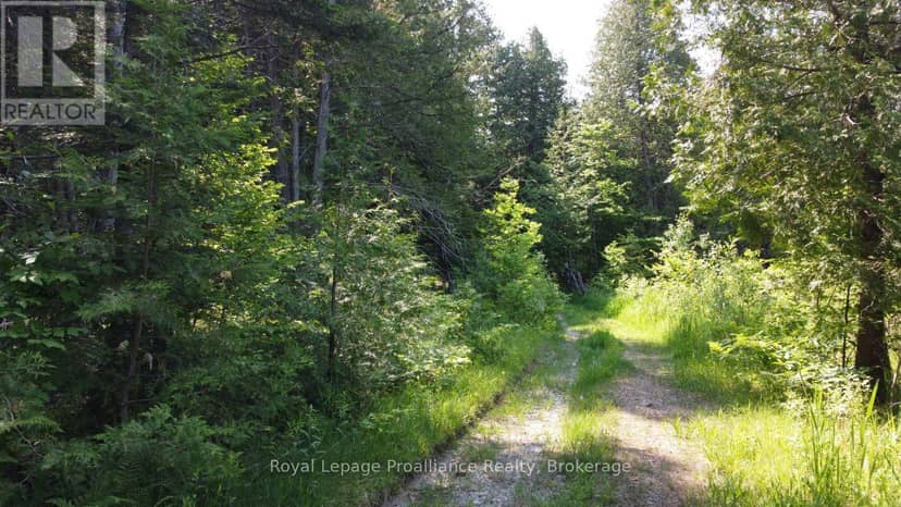 5966 Hwy 506 Road — photo 9 of 14