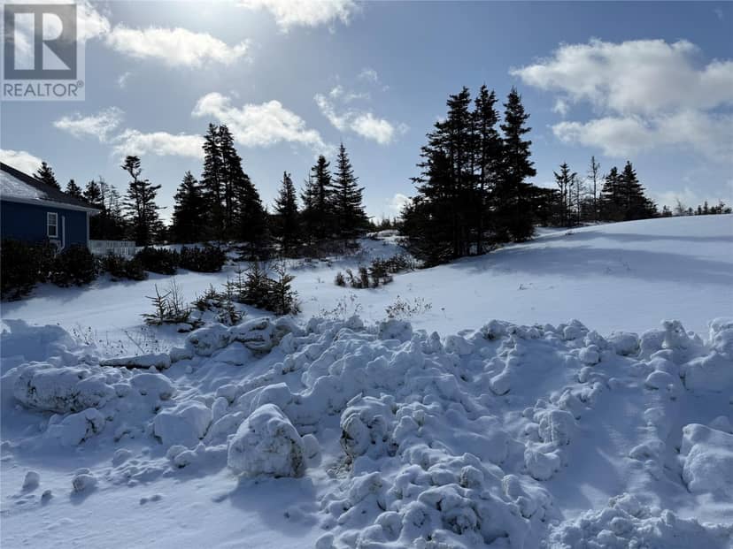 97A Chipmans Road, Spaniards Bay, photo 8
