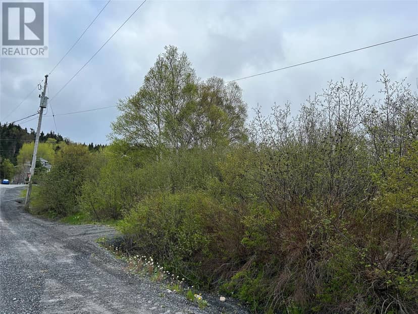 7 BEACH Road, Clarenville, photo 5