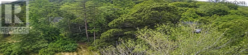 Lots Popes Road / Hwy 3 — photo 3 of 4
