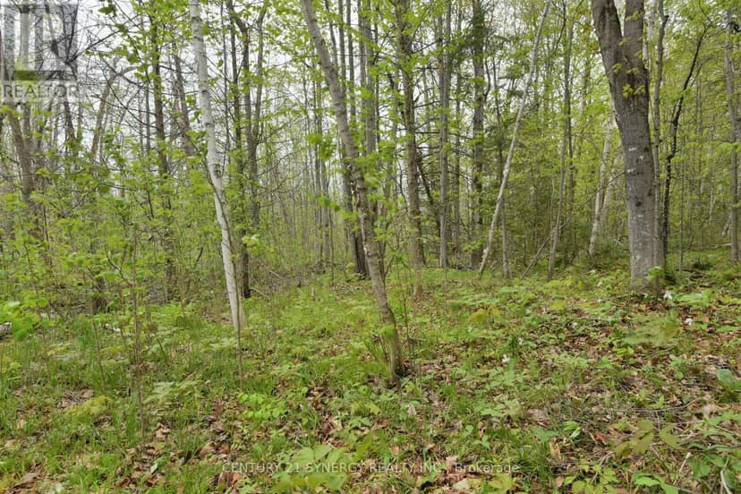 00 Milton Stewart Avenue — photo 18 of 25