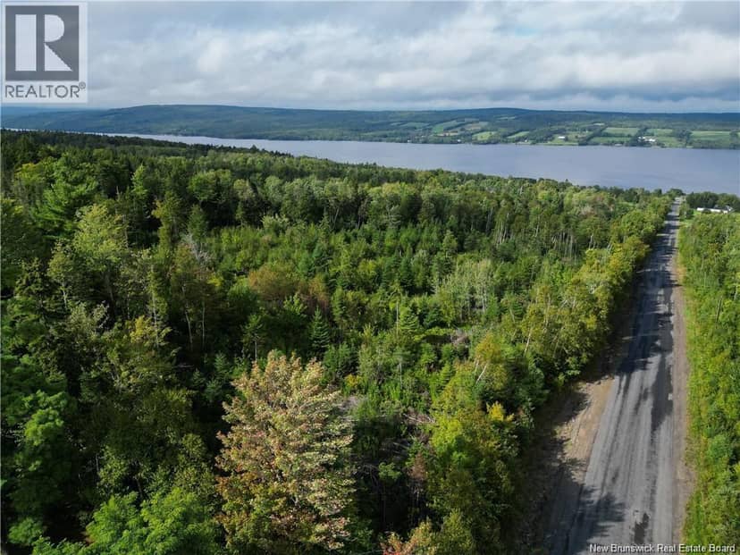 LOT Pokiok Settlement Road — photo 1 of 5