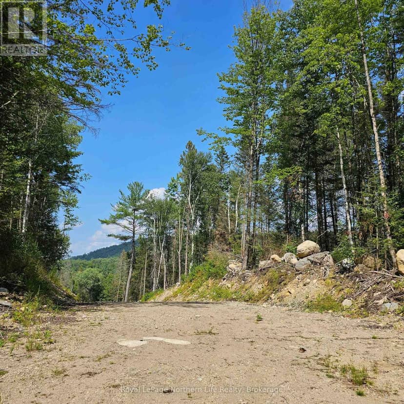 1261 Snake Creek Road, Mattawan, photo 2