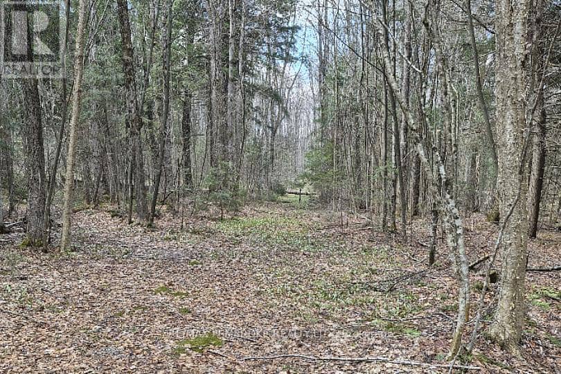 27681 Highway 60 Highway — photo 12 of 20