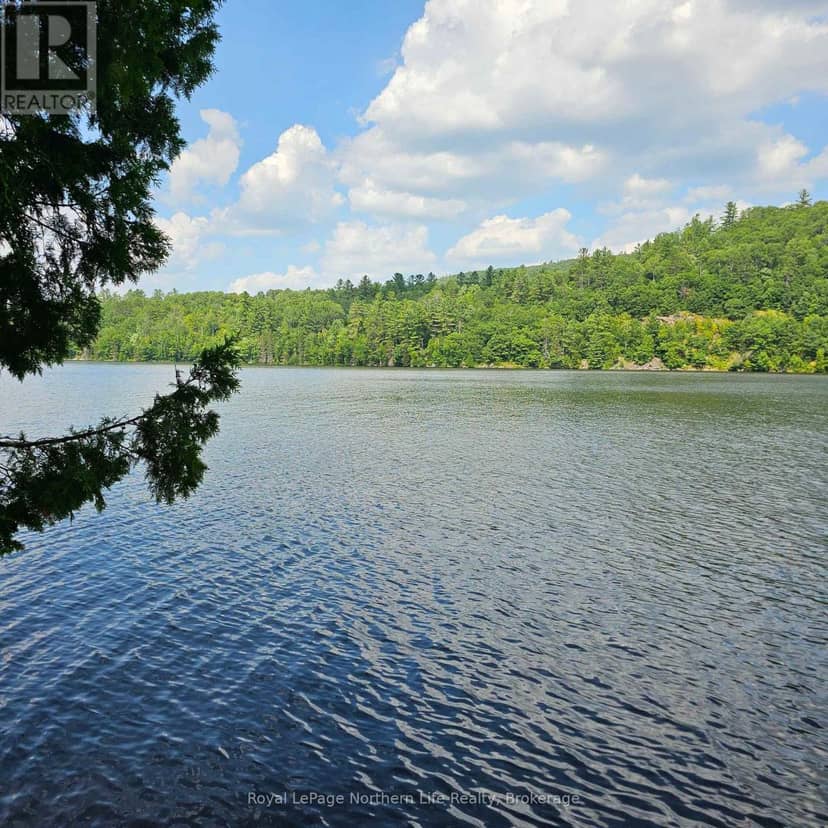 1267 Snake Creek Road — photo 11 of 15