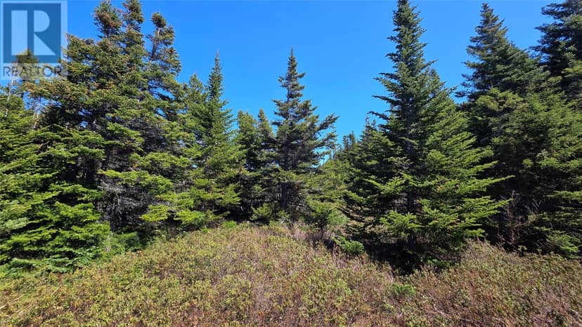 27 Hugh Lane, Twillingate, photo 6
