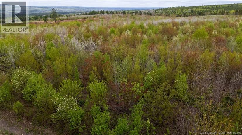 LOT 37 Davidson Road — photo 11 of 18