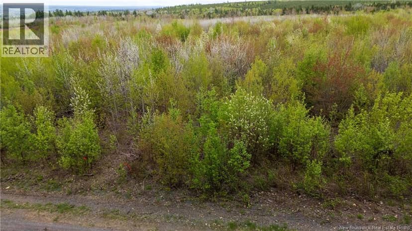 LOT 37 Davidson Road — photo 12 of 18