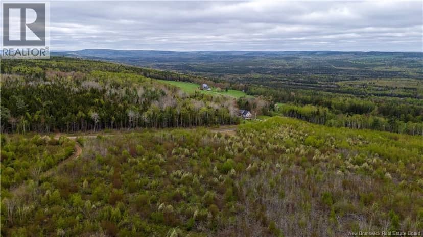 LOT 37 Davidson Road — photo 16 of 18