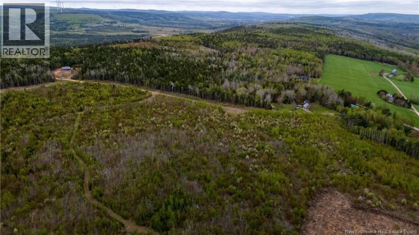 LOT 37 Davidson Road, Anagance, photo 5