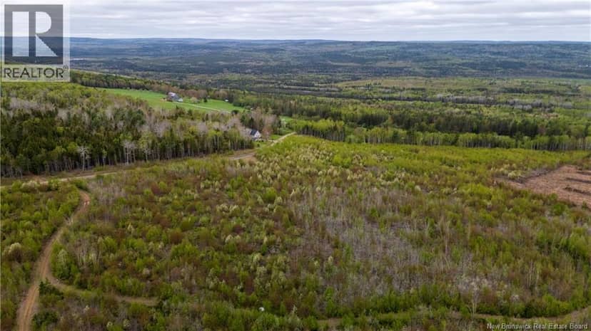 LOT 37 Davidson Road, Anagance, photo 6