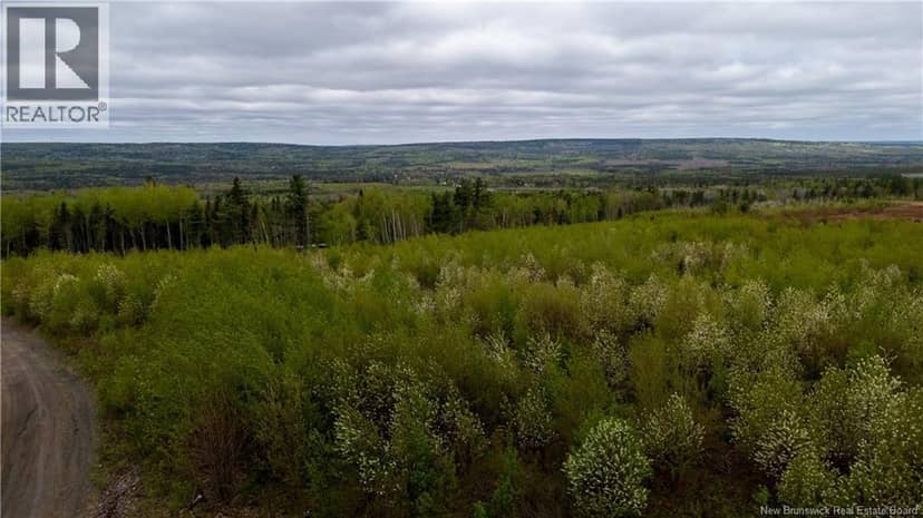 LOT 37 Davidson Road — photo 9 of 18